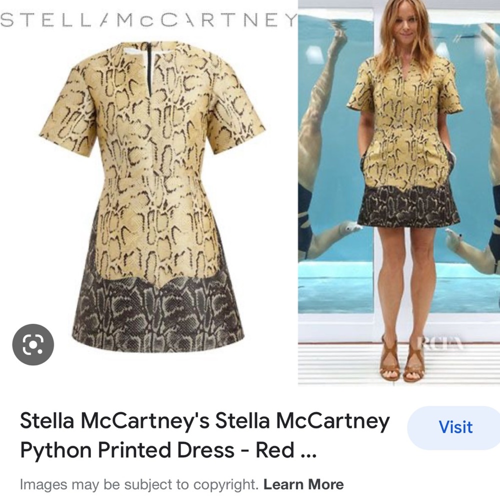 Stella McCartney PARTY Snakeskin Print Dress, SZ 36